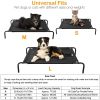 Elevated Pet Bed Dogs Cot Dogs Cats Cool Bed